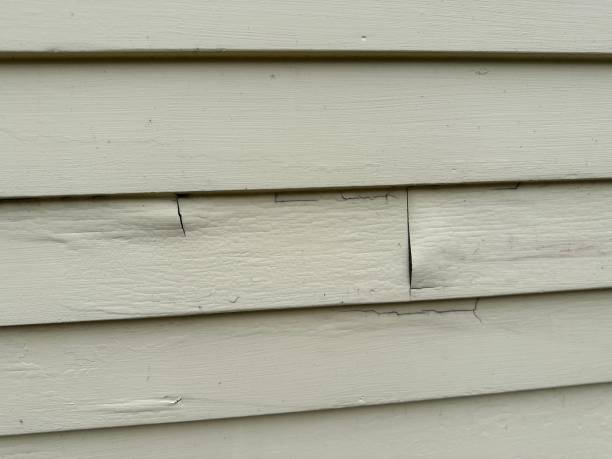 Best Storm Damage Siding Repair  in , LA